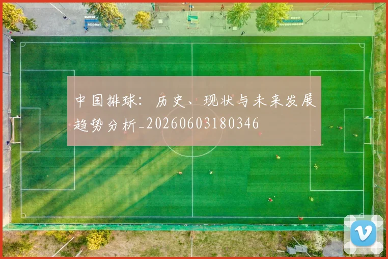 中国排球:历史、现状与未来发展趋势分析_20260603180346