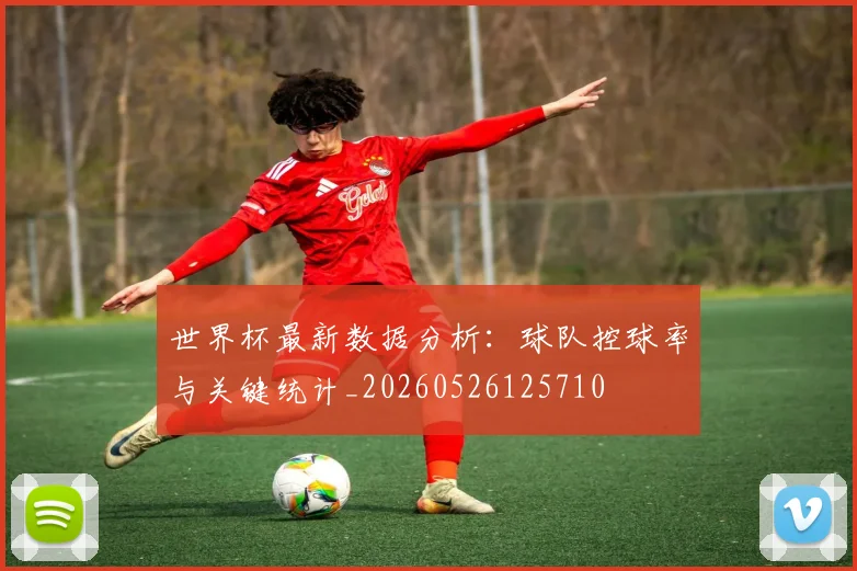 世界杯最新数据分析:球队控球率与关键统计_20260526125710