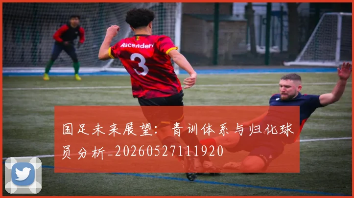 国足未来展望：青训体系与归化球员分析_20260527111920
