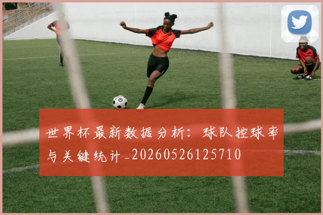 世界杯最新数据分析:球队控球率与关键统计_20260526125710